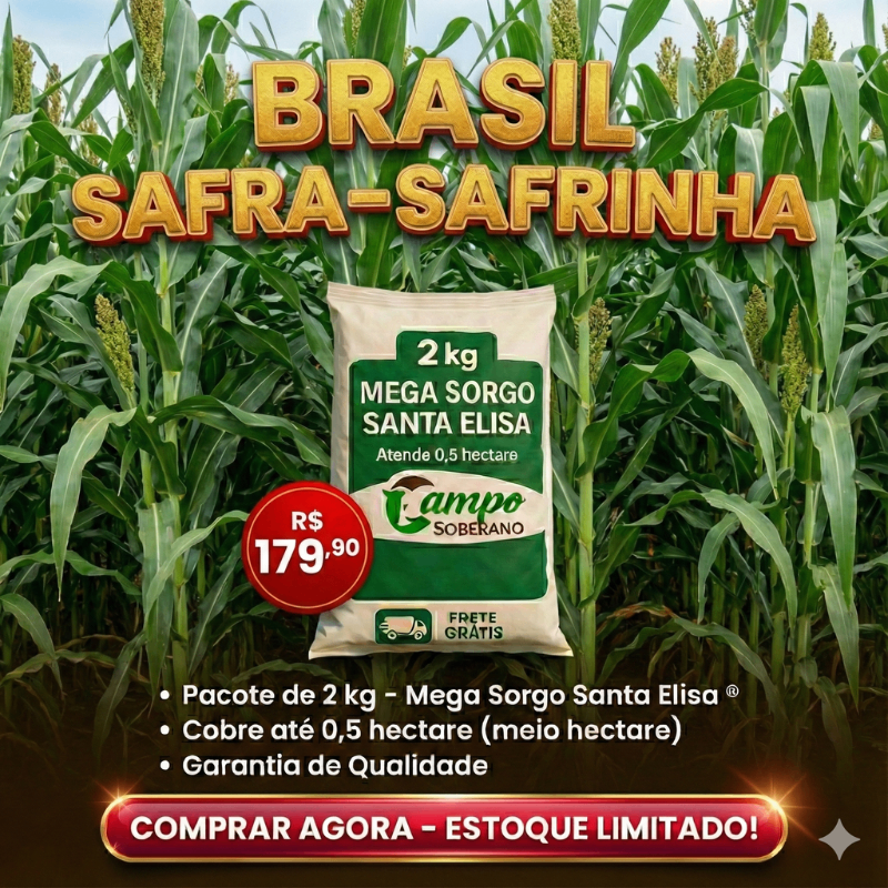 02 kg de Sementes do Mega Sorgo Santa Elisa
