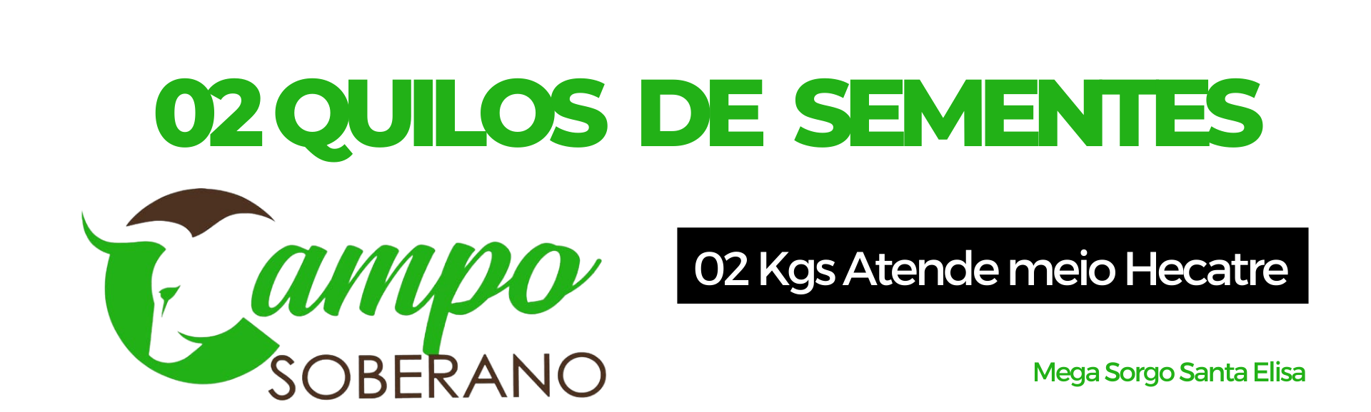 2 kg de sementes Mega Sorgo Santa Elisa