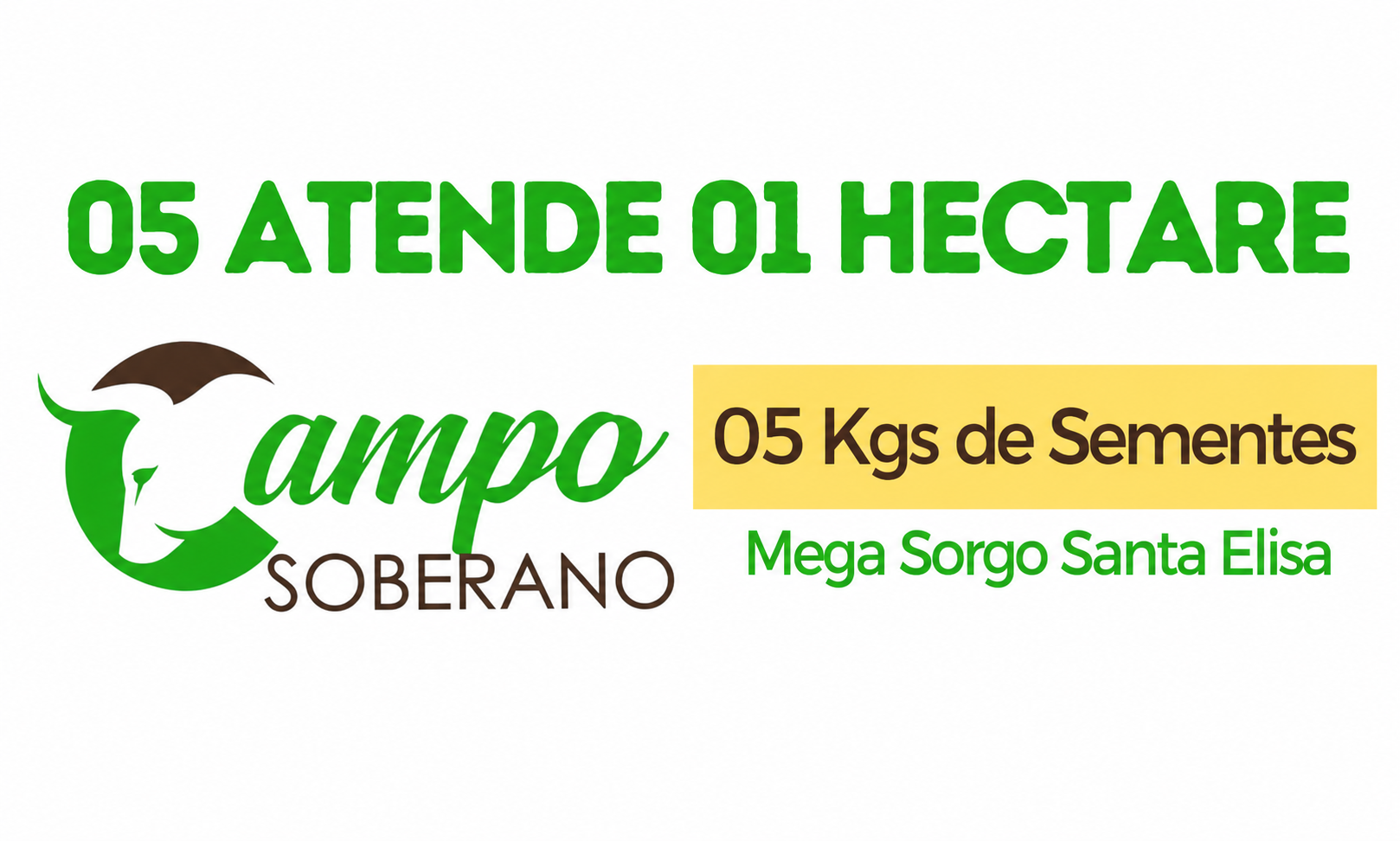 5 kg de sementes Mega Sorgo Santa Elisa