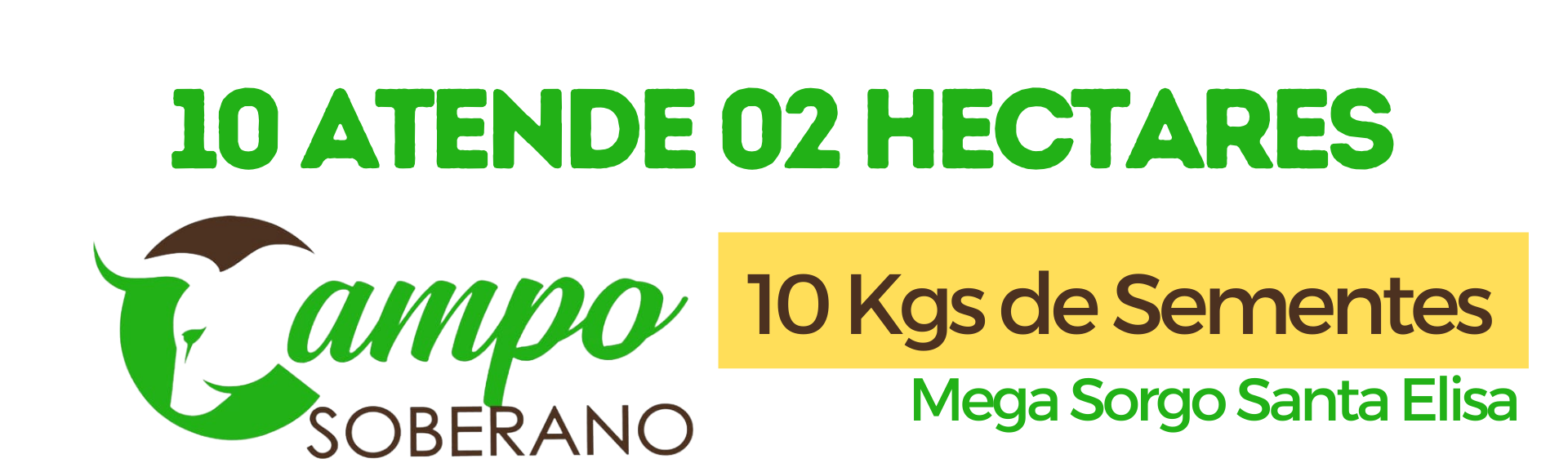 10 kg de sementes Mega Sorgo Santa Elisa
