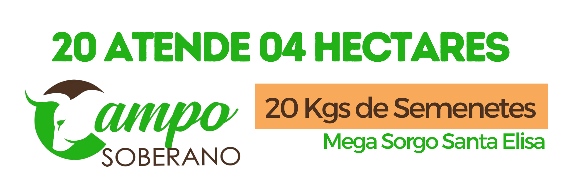 20 kg de sementes Mega Sorgo Santa Elisa