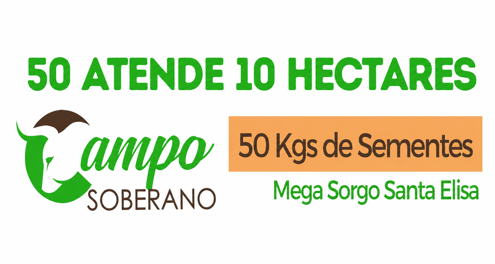 50 kg de sementes Mega Sorgo Santa Elisa